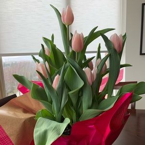 Meet your Posher, Melissa